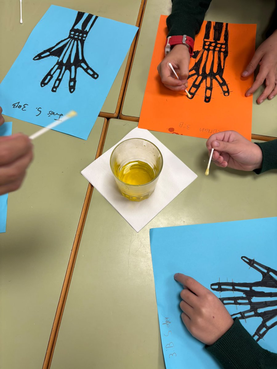 StPatricksSS's tweet photo. 🦴 El alumnado de 2.º de Primaria experimenta con la translucidez y el cuerpo humano creando sus propias radiografías caseras.

🎨 Ciencia y creatividad de la mano para aprender de forma divertida. Science is amazing!

#TogetherShapingTheFuture https://t.co/RnEL3YWesm