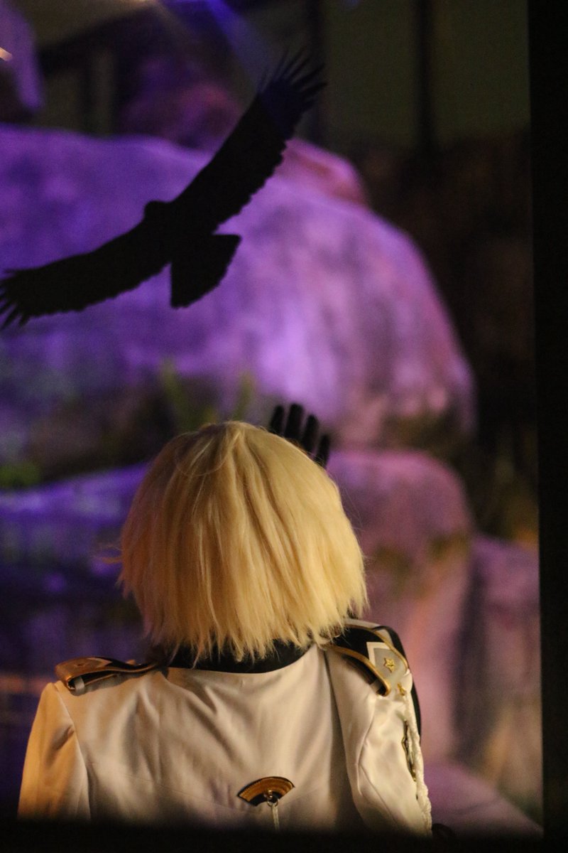 utohisui_0526's tweet photo. ⚠️コスプレ⚠️

パフォ終わりの夜にきれいに撮って頂きました〜(❁´ω`❁)

-おや？あれ、獅子かい？
　　僕もね〜そういう名前があった気がするね-

📸:くちなわさん https://t.co/rfZvFLJFsU