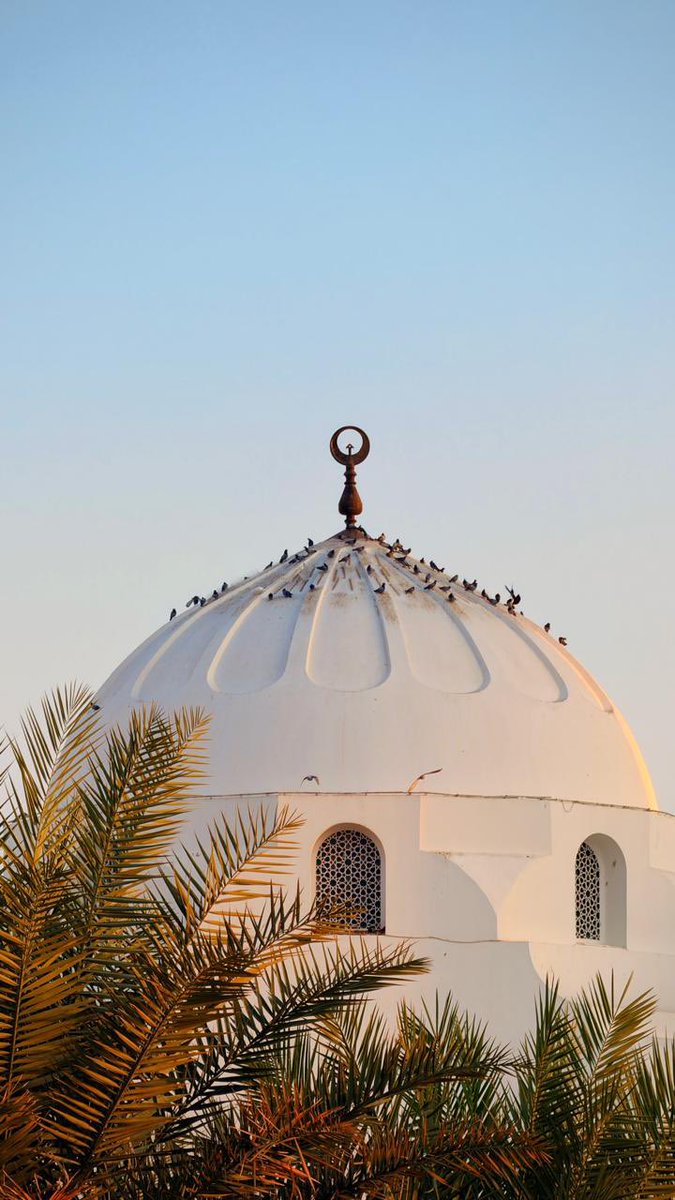 nn652652's tweet photo. قال رسول الله ﷺ:
«إن من أفضل أيامكم يوم الجمعة، فيه خلق آدم، وفيه قبض، وفيه النفخة، وفيه الصعقة، فأكثروا علي من الصلاة فيه، فإن صلاتكم معروضة علي». https://t.co/F9xdUl45Xd