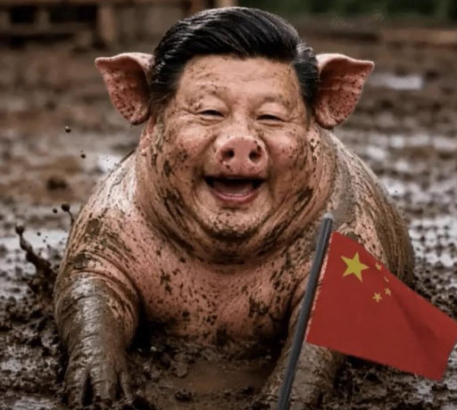 H80135's tweet photo. @bobobobioa dont cry chinese cuck, look what i have here https://t.co/zek69xvhlO