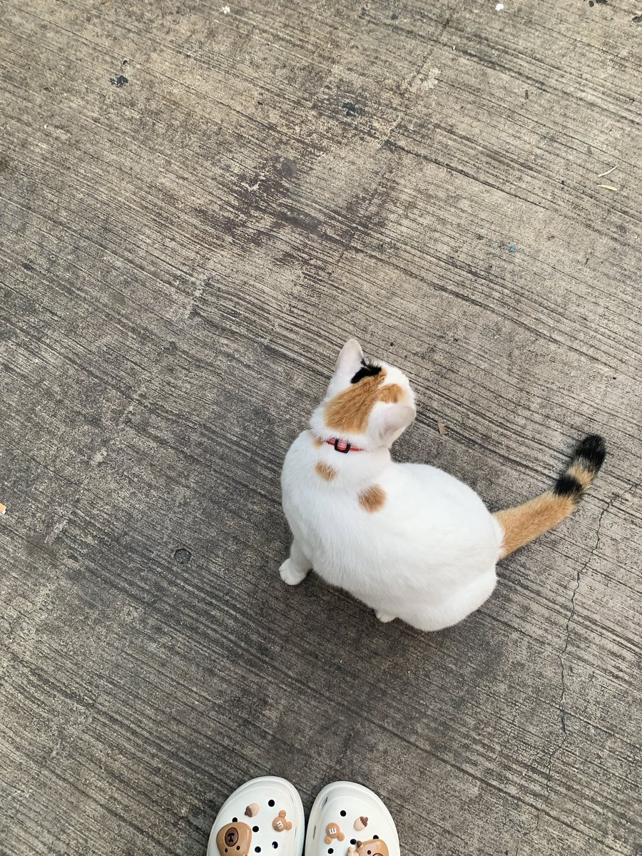 Junior007kub's tweet photo. https://t.co/dBLSFgUzhc
