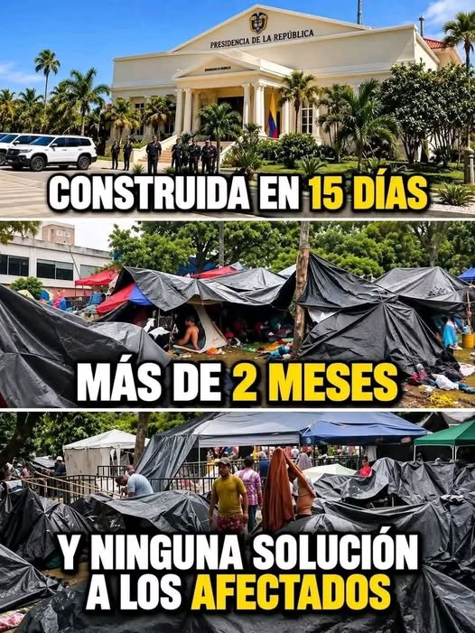 ItzaCherbonneau's tweet photo. Estoy buscando testimonios de personas en las zonas de desastre. https://t.co/83w5pzw6Wi