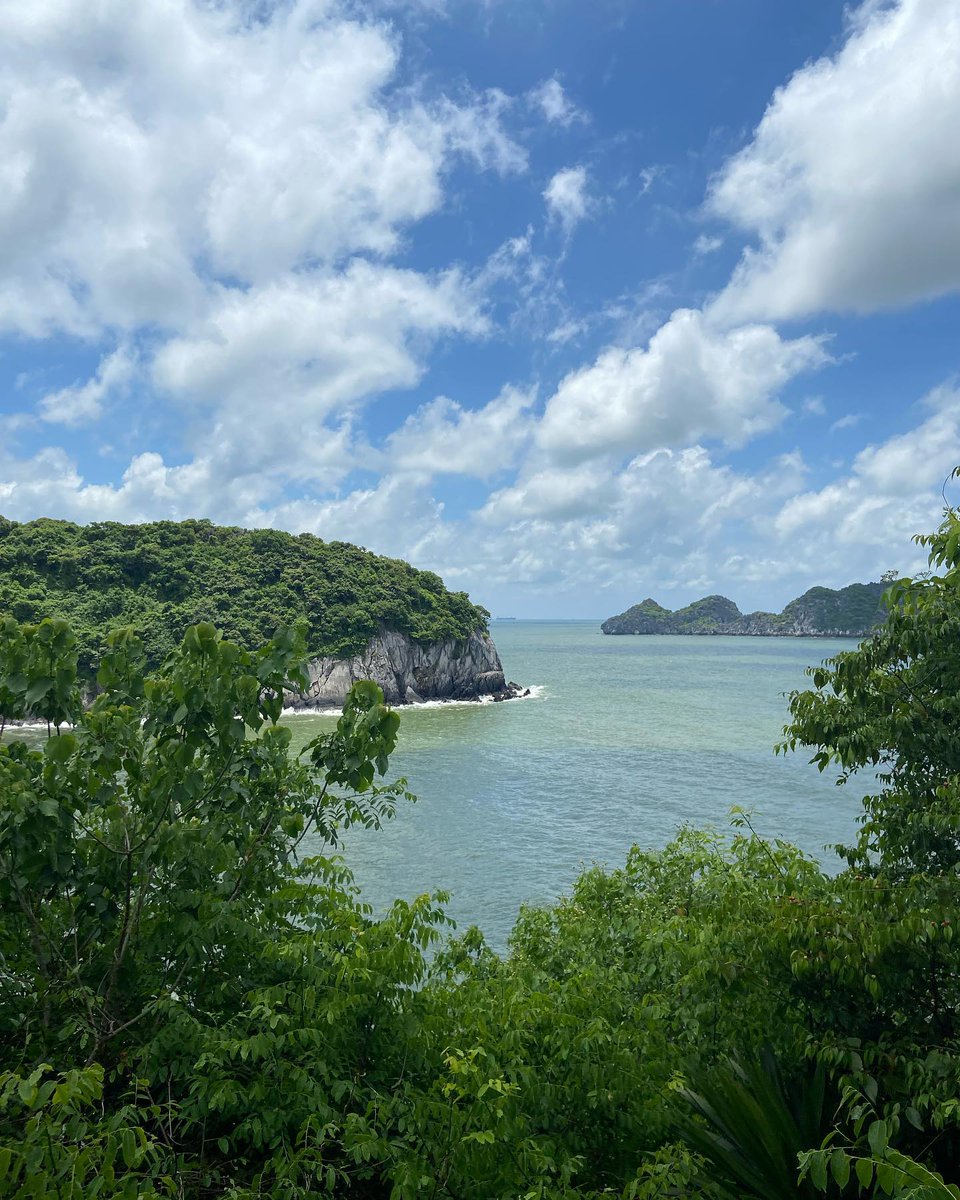 LoveMichaelP's tweet photo. Trong lành, nhẹ nhàng và bình yên. https://t.co/kVjw9BHWqs