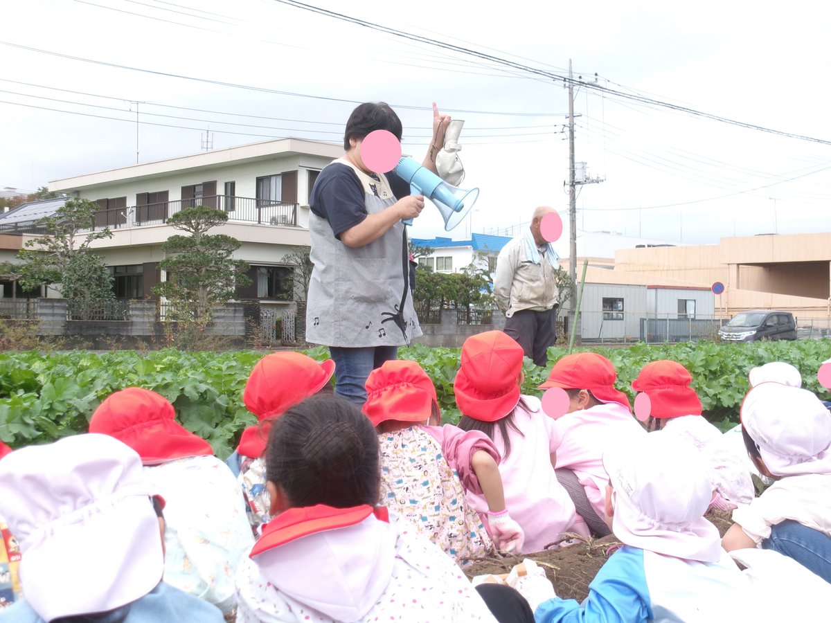 ic_mirai's tweet photo. 先日、大きいクラスの子ども達がとっても楽しみにしていたお芋ほりをしました。畑の方に、品種や熟成させるともっと美味しくなることを教えてもらって、夢中で掘りました！！ https://t.co/phUEpsWhSG