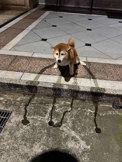 PastelLifeLines's tweet photo. นี่มาของแม่น้ำปิง วัง ยม น่าน 😂 https://t.co/b8oc4iQuM5
