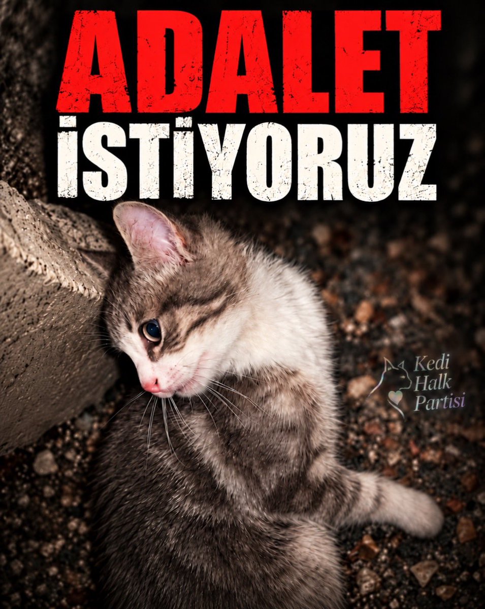 SiminXx tweet picture
