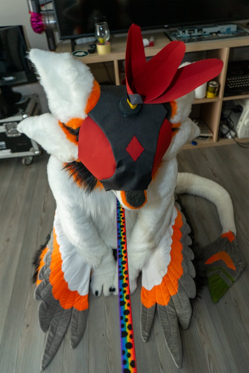 definetlynot_AD's tweet photo. Make sure to keep your avali hooded and leashed~

📷 @ilava01raaaM 
Falconry hoods should be required for all avian furries :P https://t.co/7Sxi417xKp