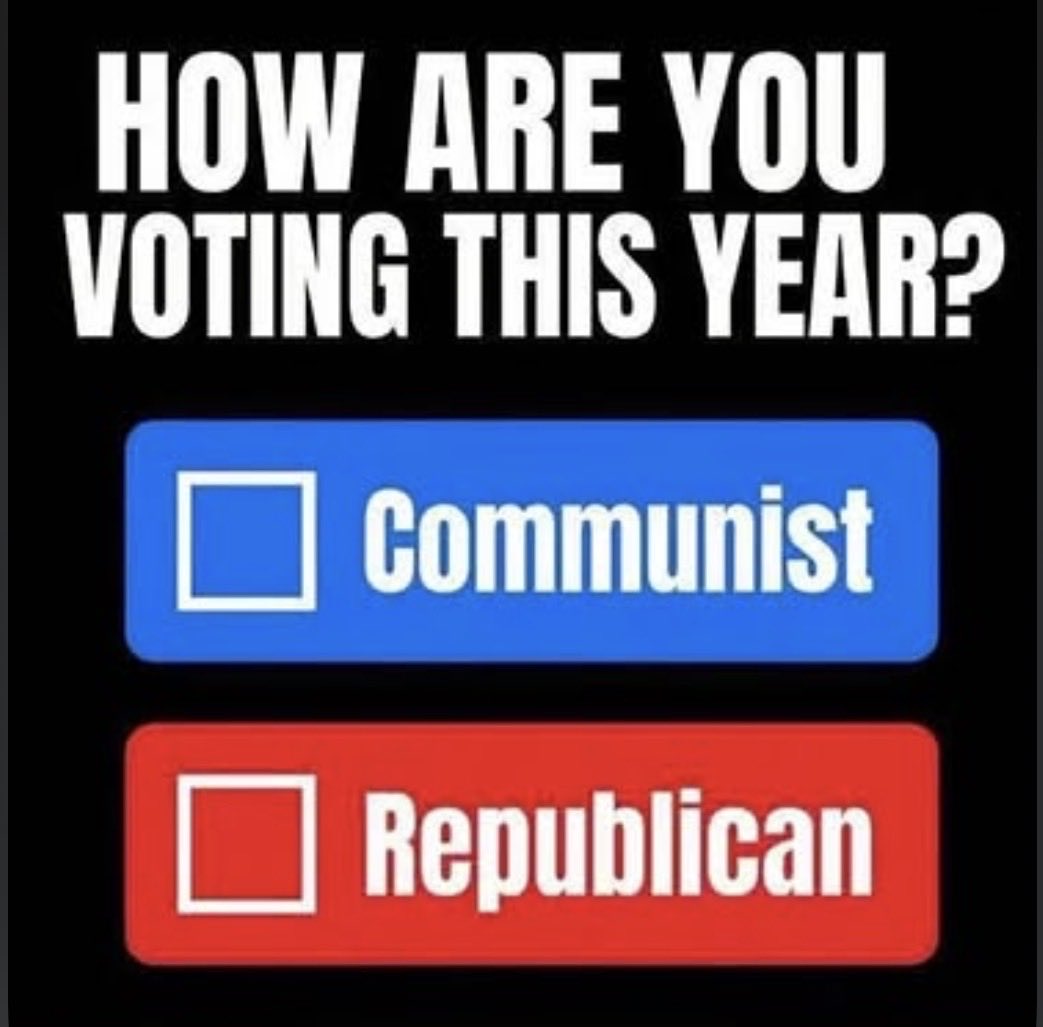 wldgrl's tweet photo. @BuzzPatterson @SenMarkKelly @SenatorSlotkin #VotRED 🇺🇸 #SaveAMERICA https://t.co/LwcI1VIR1L