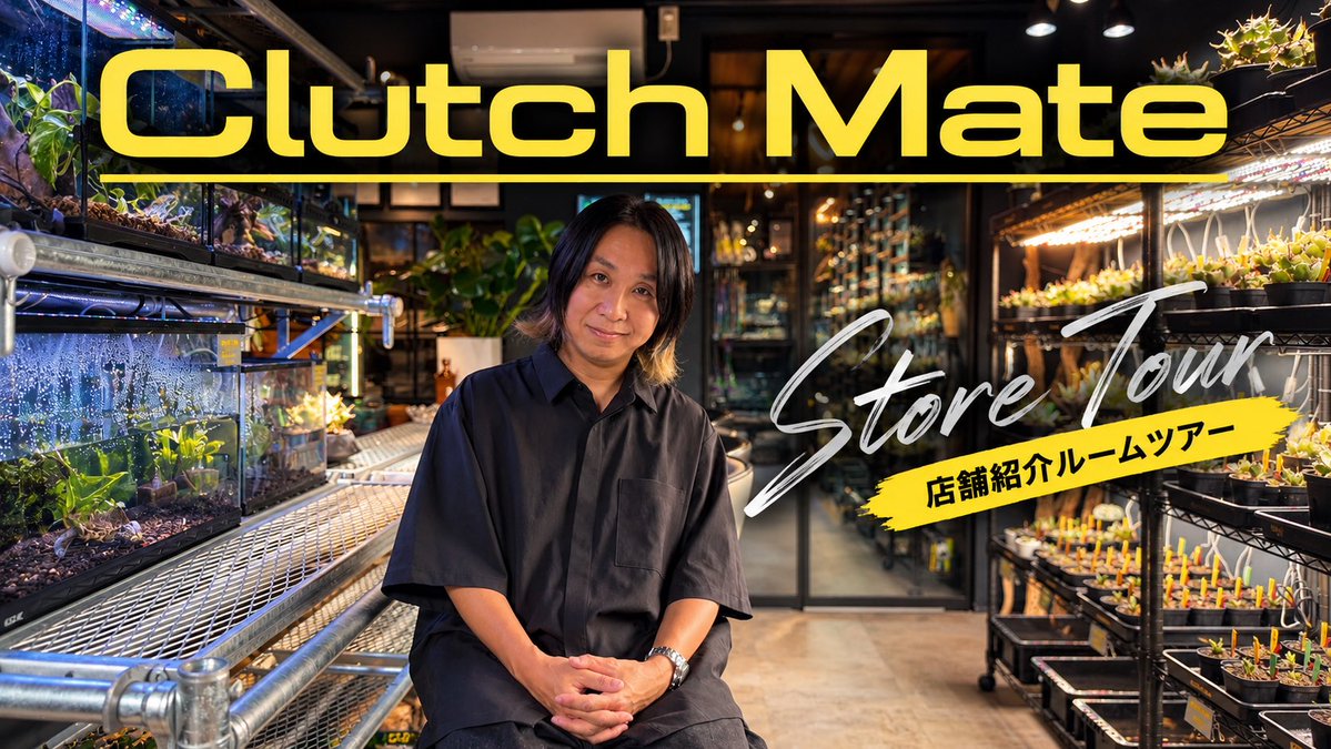 clutch_mate1222's tweet photo. 【お知らせ】

本日21:00〜

記念すべきClutch Mate一本目となる動画を公開致します。
ご視聴よろしくお願いします。

爬虫類飼育という趣味の一環として楽しんでいただけるようなチャンネルにできればと考えております。

「こんなことやってほしい！」
「こんな事について取り上げてほしい」
などリクエストあればどしどしコメントやDM下さい(^^)

少しでも多くの方にお店を知って頂きたいので拡散協力して頂けると幸いです。

https://t.co/kk0Ig2KzS1