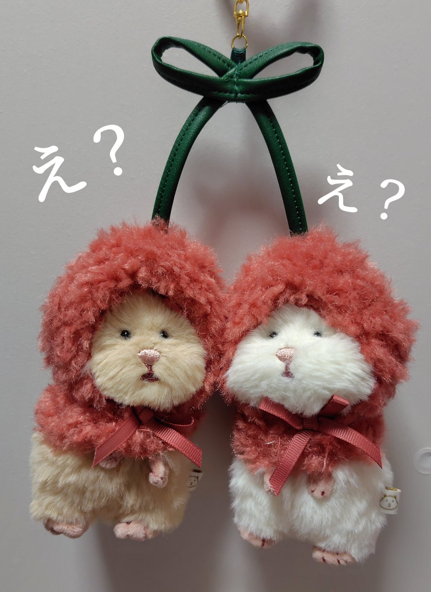 cocoro8173's tweet photo. かわいいがすぎるー🐹🐹💕💕
(しかも半額だったー✨🤫🤭)

🐹「なにこれ」
🐹「なんだこれ」
🐹「またなんか…」
🐹「かったのか…」

#はむにぎり https://t.co/ZVi0c5E8Pg