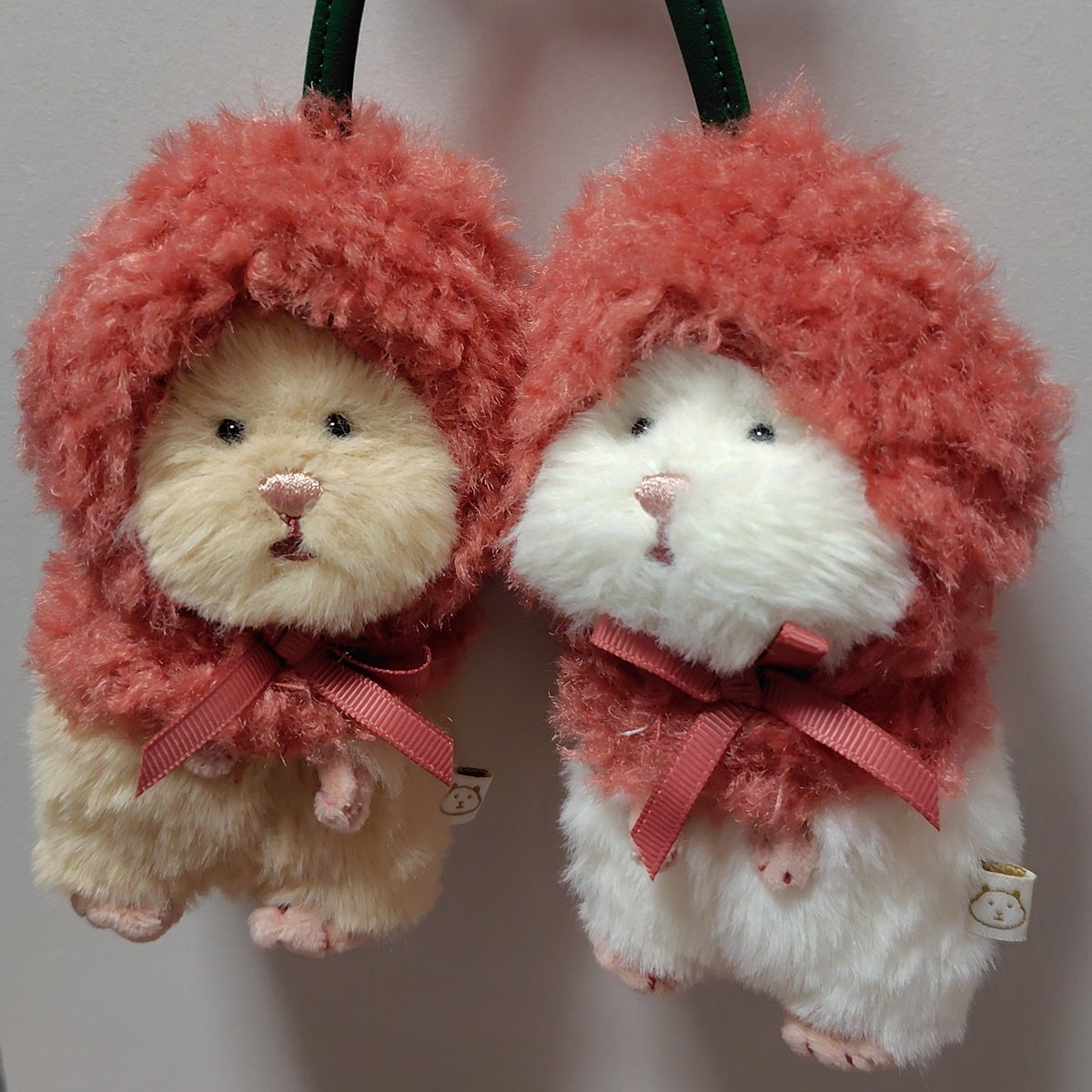 cocoro8173's tweet photo. かわいいがすぎるー🐹🐹💕💕
(しかも半額だったー✨🤫🤭)

🐹「なにこれ」
🐹「なんだこれ」
🐹「またなんか…」
🐹「かったのか…」

#はむにぎり https://t.co/ZVi0c5E8Pg