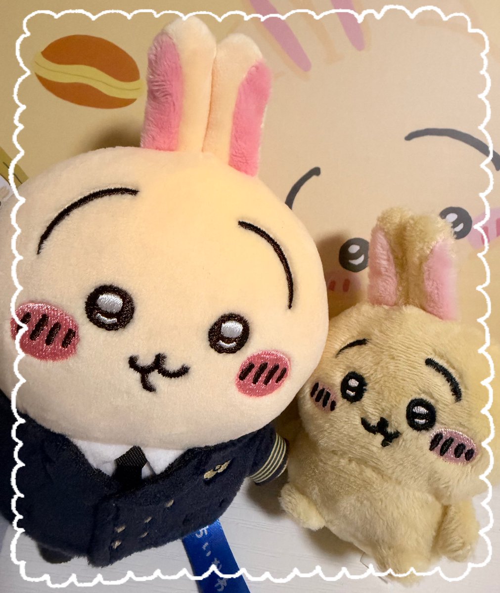 c3_amuu's tweet photo. わたしが持ってる中で最古のうさぎと最新のうさぎ💛⟡.· https://t.co/jjC4eNT2W1