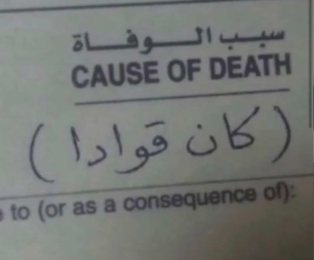 ShahawiAnno's tweet photo. @Mostafa28421700 قواده لي إسرائيل واليونان وقبرص إنه الكائن القواد ! https://t.co/LsoUY7UemF