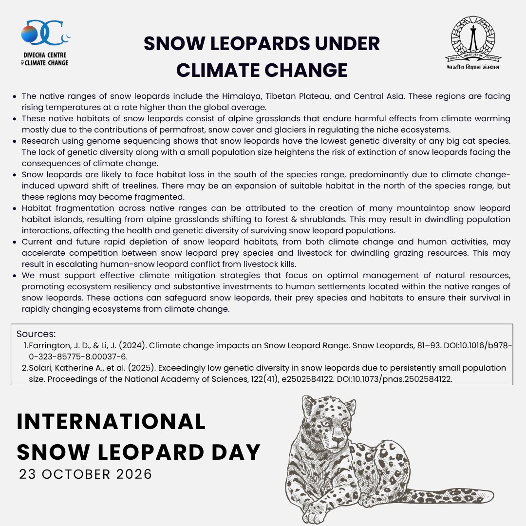 DivechaFor's tweet photo. We discuss the impact of climate change on snow leopard populations and their native habitat ranges.

#divechacentreforclimatechange #snowleopard #snowleopards #worldsnowleopardday #InternationalSnowLeopardDay https://t.co/AOQ7UKUl4T