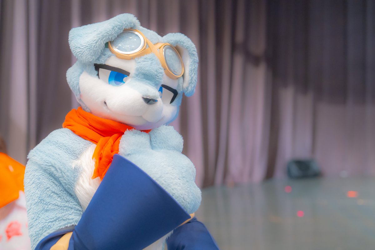 yasan_mofumofu's tweet photo. https://t.co/jpzqv7HwQb