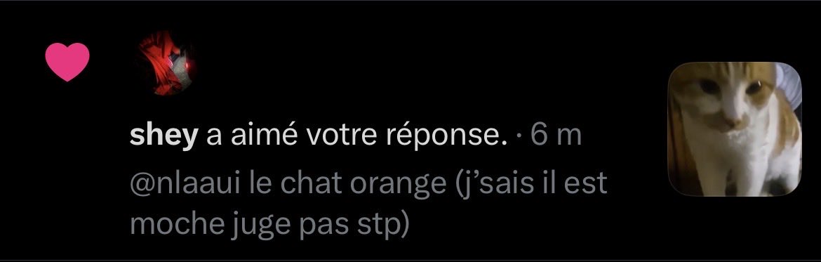 90zeeeeeeee's tweet photo. @nlaaiu HAHAHHAHAHHA NN JV GARDER LE CHAT https://t.co/WW4Hosdq3o