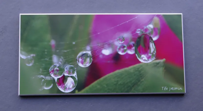 elementsdeco's tweet photo. Dew Drops on Spider Web Macro Photo Print – Nature Wall Art Sunrise Dewdrops #dewdrops #photography #wiseshopper #macroPhoto
 https://t.co/PFjcMLXpaa https://t.co/bwp3iXHwcl