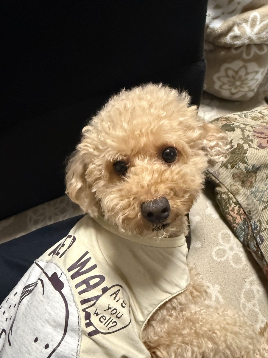 APEX_gil's tweet photo. 実家にいるんで帰宅は22時ぐらいになりますね～ https://t.co/2BD04bz8GP