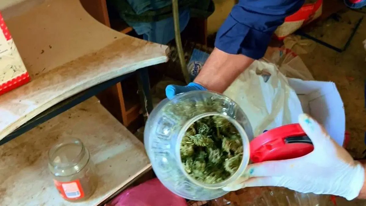 ZamHaberAjans's tweet photo. Çanakkale’de tarihi eser kaçakçılığı ve uyuşturucuya yönelik düzenlenen operasyonda 1 kişi gözaltına alındı.

🔹 Eceabat ilçesinde bir şüphelinin evinde, aracında ve arazisinde jandarma ekiplerince arama yapıldı.

🔹 Aramalarda 10 kilogram kubar esrar, 3 kilogram reçine esrar, 5 gram metamfetamin ve 3 kök kenevir bitkisi ele geçirildi.

🔹 Ayrıca hassas terazi, 5 öğütücü, uyuşturucu kullanma aparatı, nadir bir deniz canlısına ait nautilus fosili ve tarihi eser olduğu değerlendirilen bir pala bulundu.

🔹 Şüpheli, jandarma ekiplerince gözaltına alındı.