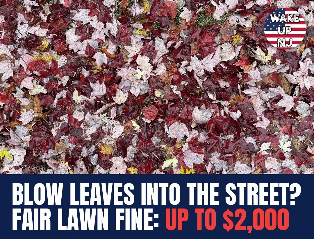 wakeupnj's tweet photo. Blow your leaves into the street in Fair Lawn and you could get hit with a fine of up to $2,000, so dumb, most townships have pickups to do just without the fine
https://t.co/mHyNr4b6Ae https://t.co/MQrGbJZNdp