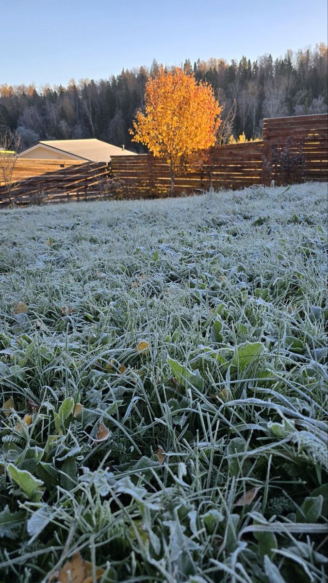 Rencrypta's tweet photo. GM X! 

The First Frost 🥶
- Is this the end for crypto, now that even a16z is trimming its portfolio and looking away from the sector?
- Everyone is waiting for the cycles to return, but what’s actually happening? 
- Almost nothing, just local events, a few ups and downs and mostly sideways movement.

- Are you still expecting any life-changing involvements from crypto, dex perps, from meme or NFTs?
- Personally my main focus  is only Variational and the periodically trading of memecoins play that manages to take off.