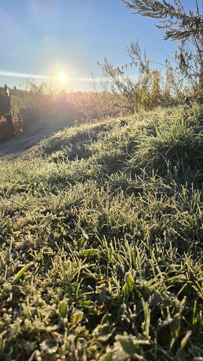 Rencrypta's tweet photo. GM X! 

The First Frost 🥶
- Is this the end for crypto, now that even a16z is trimming its portfolio and looking away from the sector?
- Everyone is waiting for the cycles to return, but what’s actually happening? 
- Almost nothing, just local events, a few ups and downs and mostly sideways movement.

- Are you still expecting any life-changing involvements from crypto, dex perps, from meme or NFTs?
- Personally my main focus  is only Variational and the periodically trading of memecoins play that manages to take off.