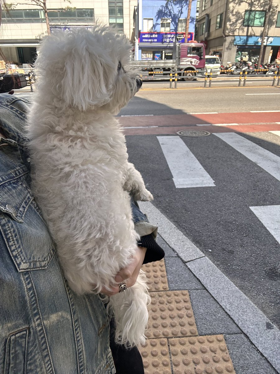ynineg's tweet photo. 평일 끝..😵‍💫 https://t.co/TdFYBz61vi