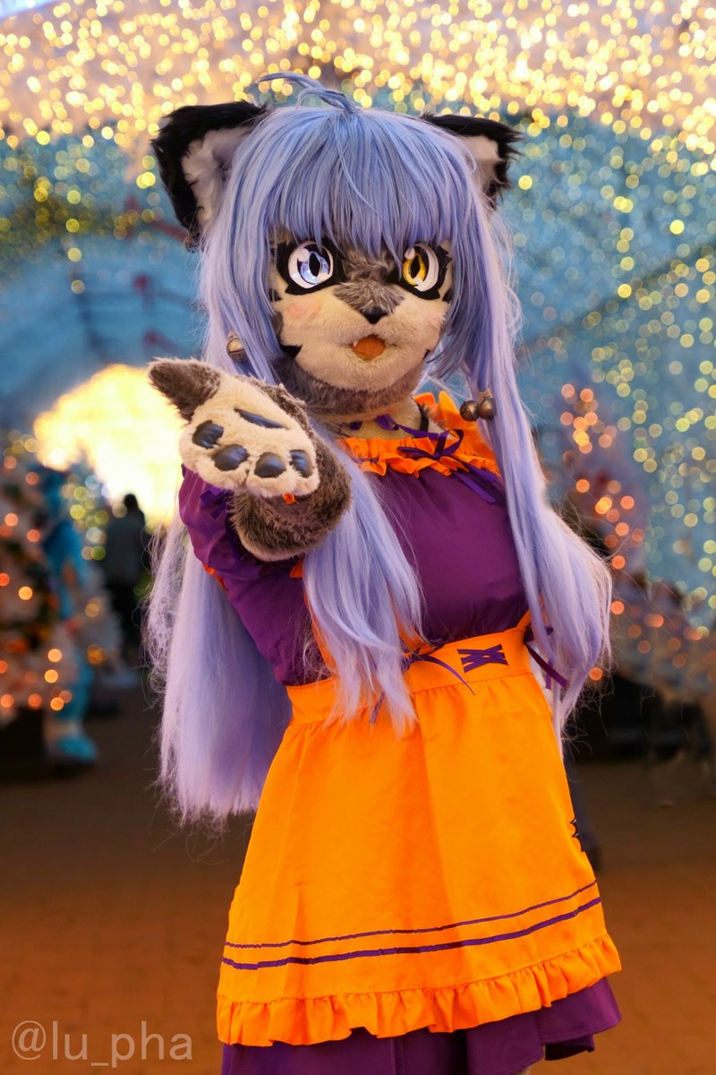 lu_pha's tweet photo. 今日は ゆきひょうのひ #FursuitFriday https://t.co/gFp1cZfBN9