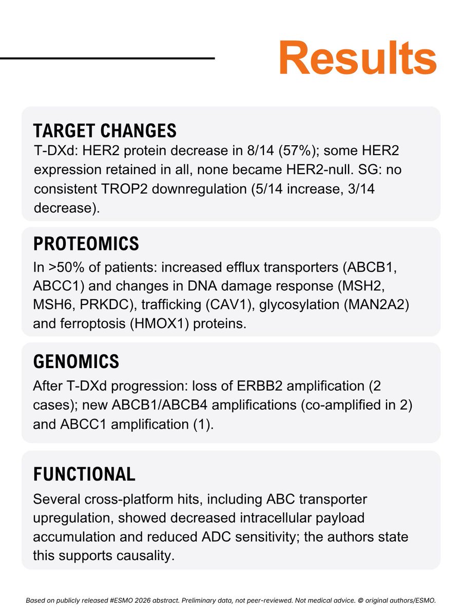 OncoAlert ESMO 2026 slide: OncoAlert360® Oncology For Colleagues By Colleagues (4 of 4)