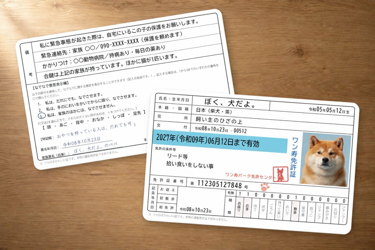 boku_inudayo tweet picture