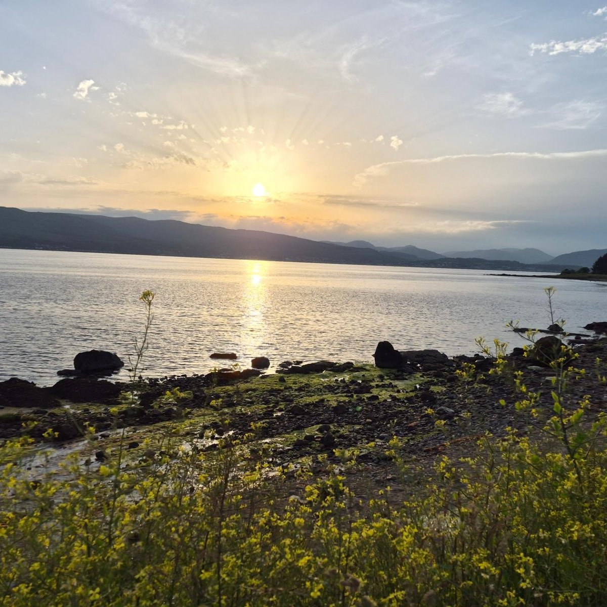 gnovavida's tweet photo. Lovely evening walk at Lunderston Bay yesterday with @glasgow_young_walkers. https://t.co/S5GnGbHwSC