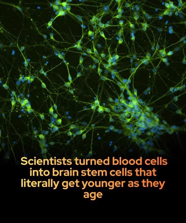 Smart Science on X: 