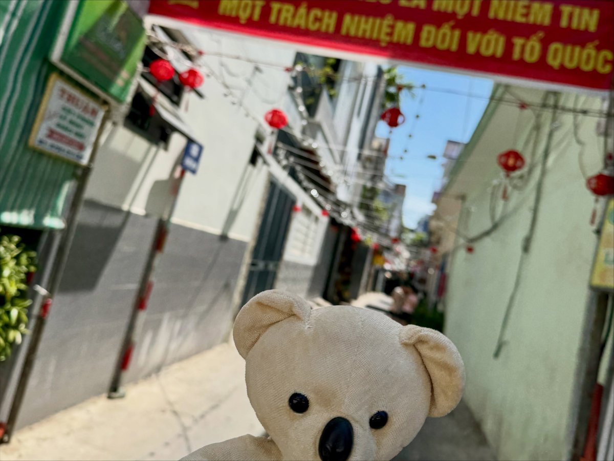 cartoonoriginal's tweet photo. 旅するマメさん、ダナン編。
火を吹く生物や深海生物に出会える海辺の町へ。デッカイ木ノ実を食べて、ひと休みくま。 https://t.co/vkaVlHVfO0