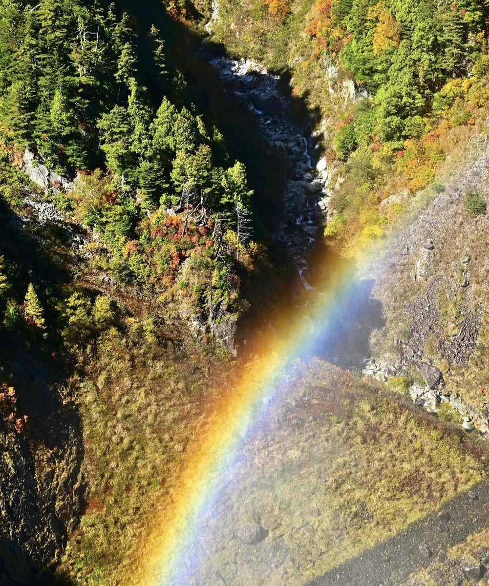 panokitotoyama's tweet photo. 黒部川に架かる虹と黒部ダム🌈✨⛰️

紅葉×虹×黒部ダム、最高ですね🥹

📸10月15日撮影 by  kazu_8384 https://t.co/q0FZxW60Z9