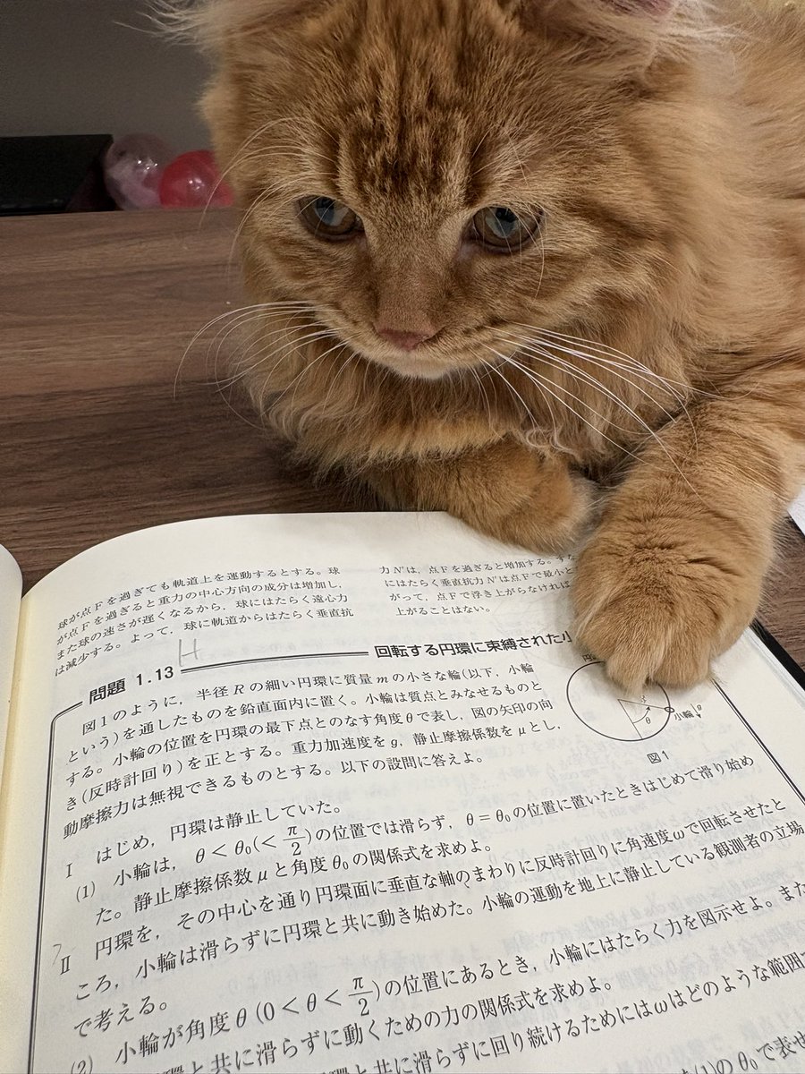 math_anti_na's tweet photo. 猫ですら物理をするのに
物理基礎すらやらない死文の皆さん... https://t.co/ipJPyG21dG