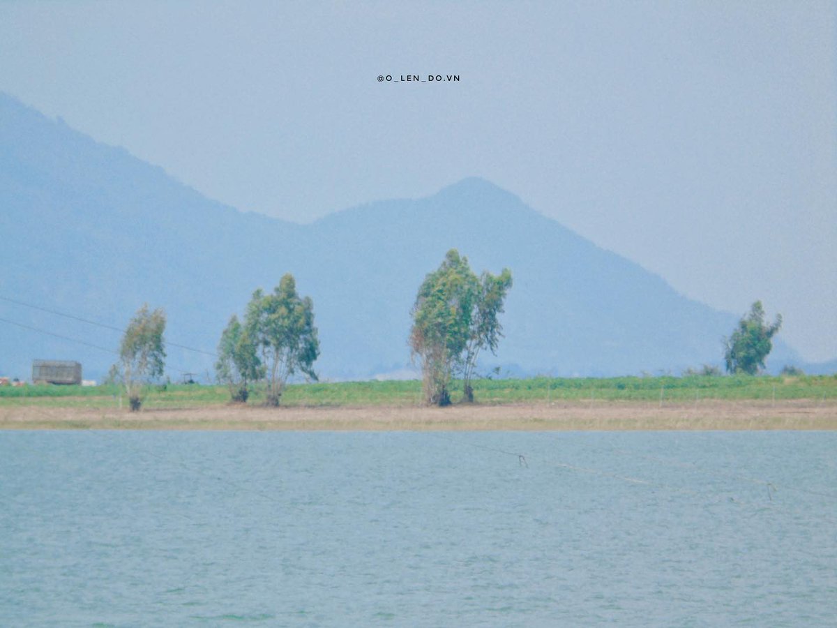 Tarugadao's tweet photo. Lòng Hồ Dầu Tiếng, Bình Dương vào mùa chồi non: khung cảnh thiên nhiên yên bình, trong trẻo và đầy sức sống. https://t.co/Y89QynMSdt