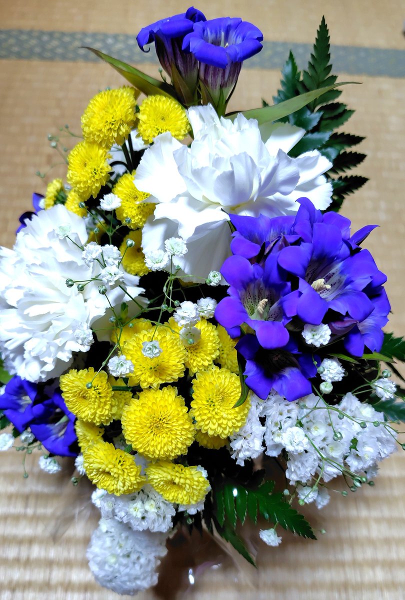 yamaguchi_yuka_'s tweet photo. 私ごとですが、
先日、母が他界いたしました。
母が生前、お世話になった皆さまには、長きにわたりお付き合いいただき、本当にありがとうございました。

人は、命の終わりを子や孫に見せることが、大切な役目のひとつではないかと、私は考えていました。

日に日に弱りゆく母は残された時間の中で、死とは何か、命とは何かを、身をもって私たちに教えてくれたのだと思います。

一緒に暮らしていた身近な人の死を、私は経験しました。
悲しみの中の自分の心を振り返ると、
市民の方々の声に耳を傾ける姿勢、
その奥にある思いへの感じ方に、
ひとつ深みが加わったように思います。
母が教えてくれたのではないでしょうか。

この投稿をもちまして、いつもの私に戻ります。
これからも元気に議員活動に励んでまいりますので、どうぞよろしくお願いいたします。

#お母さんありがとう