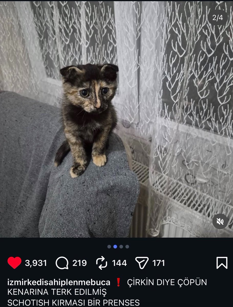 lecnsrequiem's tweet photo. SENİ HERŞEYDEN KORUMAK İSTİYORUM😭😭😭 keşke benim olsaydın https://t.co/45rjCuWo6p