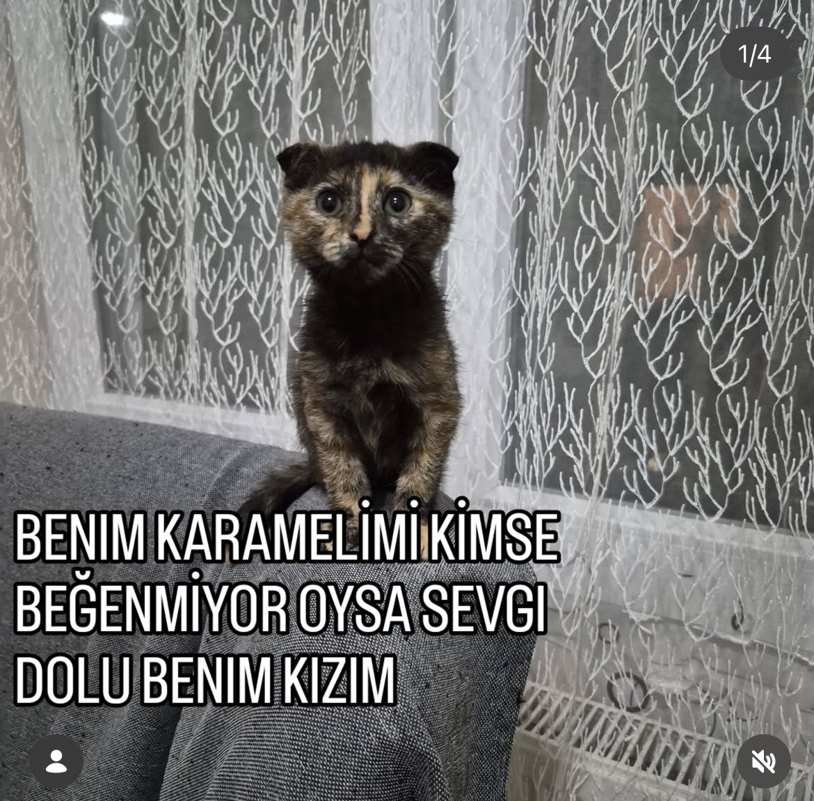 lecnsrequiem's tweet photo. SENİ HERŞEYDEN KORUMAK İSTİYORUM😭😭😭 keşke benim olsaydın https://t.co/45rjCuWo6p