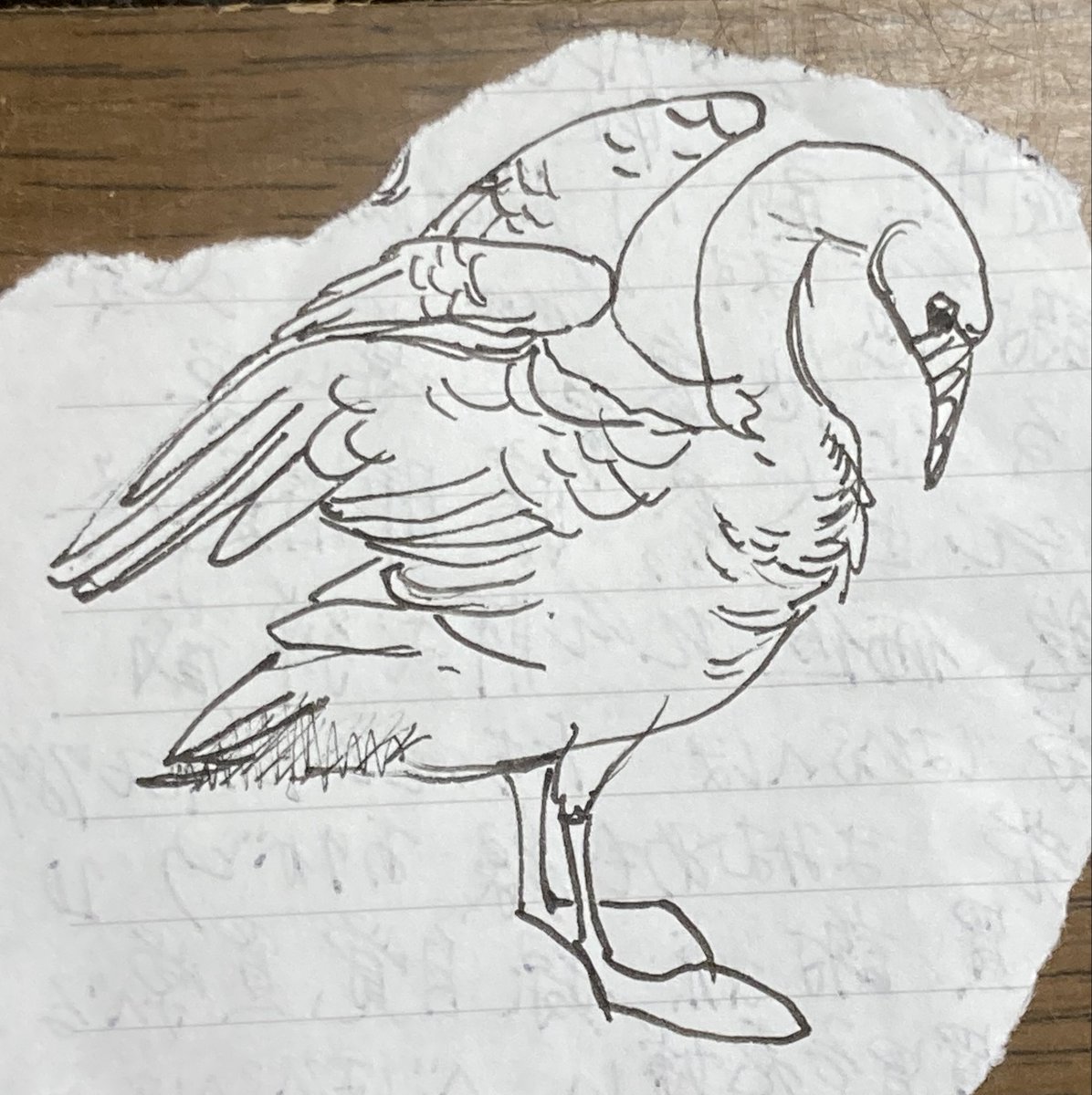 yn87nd's tweet photo. ミリペン、万年筆、ボールペン
描きあじはボールペンが優勝🥇
でも万年筆の線の方がすき🫶 https://t.co/Et8ajrXkwg