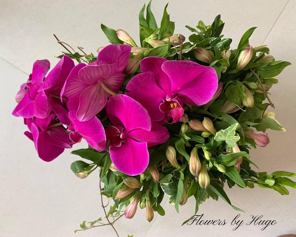 LoretodeRguez's tweet photo. Lan hồ điệp hòa cùng thủy tiên trong giỏ hoa giản dị mà đầy sức sống. Mỗi ngày, sắc hoa lại chuyển mình nhẹ nhàng, mang đến phút giây thư giãn sau những bộn bề. https://t.co/TQLXxbS0L9