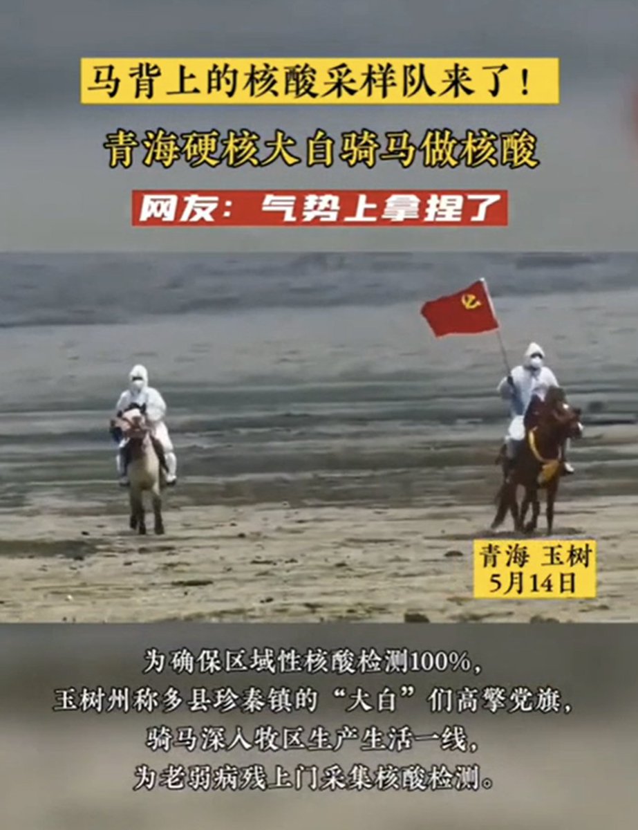 Fides_Ascensio's tweet photo. 很快你们就会看到硬核大白骑马、徒步、速降、跳伞，各种极限动作，上山、下乡、渡河、翻墙。

去祖国的每一个犄角旮旯收社保。 https://t.co/8wbiQsF7kx