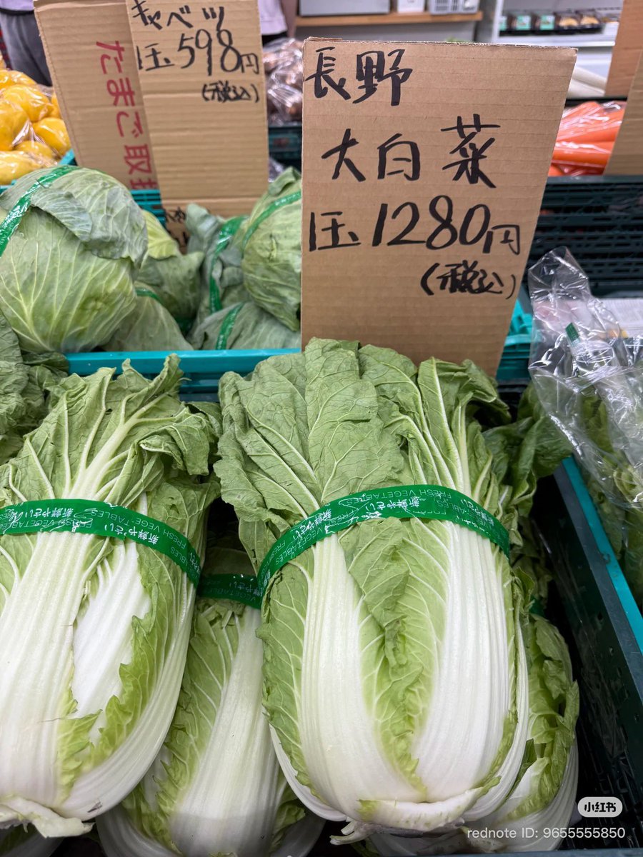 Konekoutena's tweet photo. 高市早苗之前，中国就没有什么反日情绪，因为特朗普贸易战开始后和美国关系紧张，中日关系反而开始变好。日本的电影，动漫还有日系风格的商品也非常流行。高市之后，中日关系急转直下。加上高市这人又特别蠢，所以中国基本都持有看日本笑话的心态。什么大米荒���白菜涨到一千日币以上，日本小学生饿肚子这些事都成了笑料