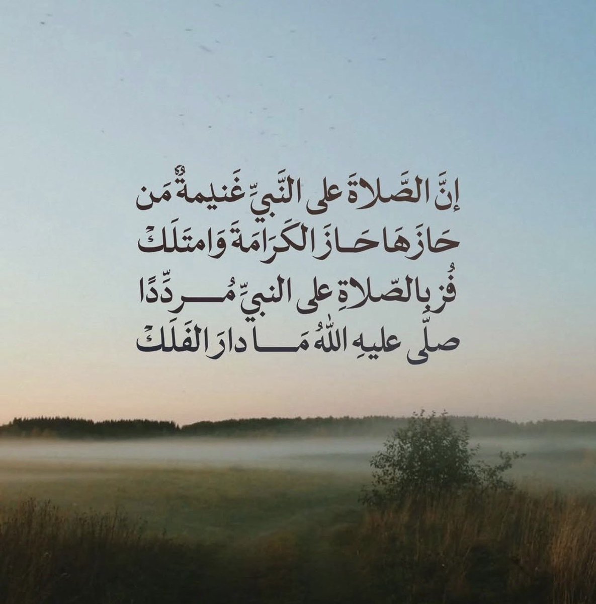 pra1yer's tweet photo. كان رسولُ الله ﷺ 
يَضَعُ رُكْبَتَهُ لِصَفِيَّةَ رضي الله عنها لِتَرْكَب.

 يقولُ أنسُ بن مالك رضي الله عنه:
«رأيتُ النبيَّ ﷺ يَجلِسُ عند بعيره، فيضعُ 
رُكبتَه، فتضعُ صفيةُ رجلَها على رُكبتِه فتركب».

ما أعظمها من رحمة، وما أرقّه من خُلُق 
كان قدوةً في اللين والتواضع وحُسن العِشرة

أفلا نُكثِر من الصلاة عليه ﷺ؟ 🤍🤍🤍