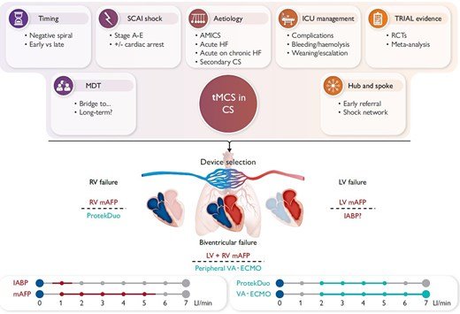 ACVCPresident's tweet photo. Hot of the press 🔥 - a clinical consensus statement of #EAPCI_ESC and #ACVC_ESC on temporary #MCS in #CardShock just published in #EHJ
Tremendously important and excellent collaborative work 👏
@ehj_ed @escardio @ESC_Journals
@alaide_chief @EHJACVCEiC @sighalvo @CHassager @MarioGramegnaMD @VijayKunadian @thiele_holger @CVandenbriele
https://t.co/4QMy4M4kw0