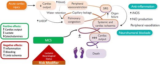 ACVCPresident's tweet photo. Hot of the press 🔥 - a clinical consensus statement of #EAPCI_ESC and #ACVC_ESC on temporary #MCS in #CardShock just published in #EHJ
Tremendously important and excellent collaborative work 👏
@ehj_ed @escardio @ESC_Journals
@alaide_chief @EHJACVCEiC @sighalvo @CHassager @MarioGramegnaMD @VijayKunadian @thiele_holger @CVandenbriele
https://t.co/4QMy4M4kw0