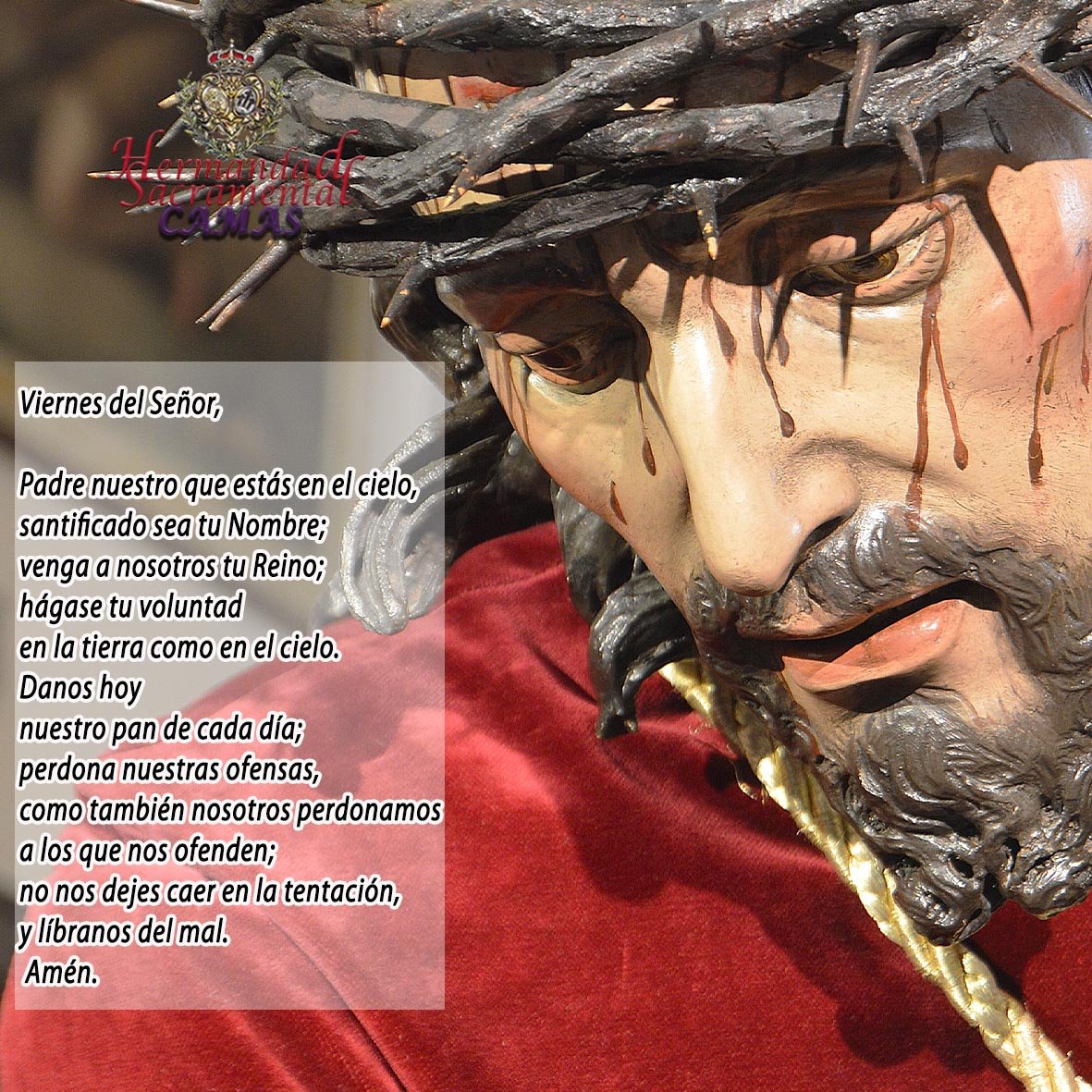 GranPoderCamas's tweet photo. Cobíjanos bajo tu mirada, Padre.
Es Viernes del Señor del Gran Poder.

#HermandadSacramentalCamas
#GranPoderCamas https://t.co/hIdJxRDNFL