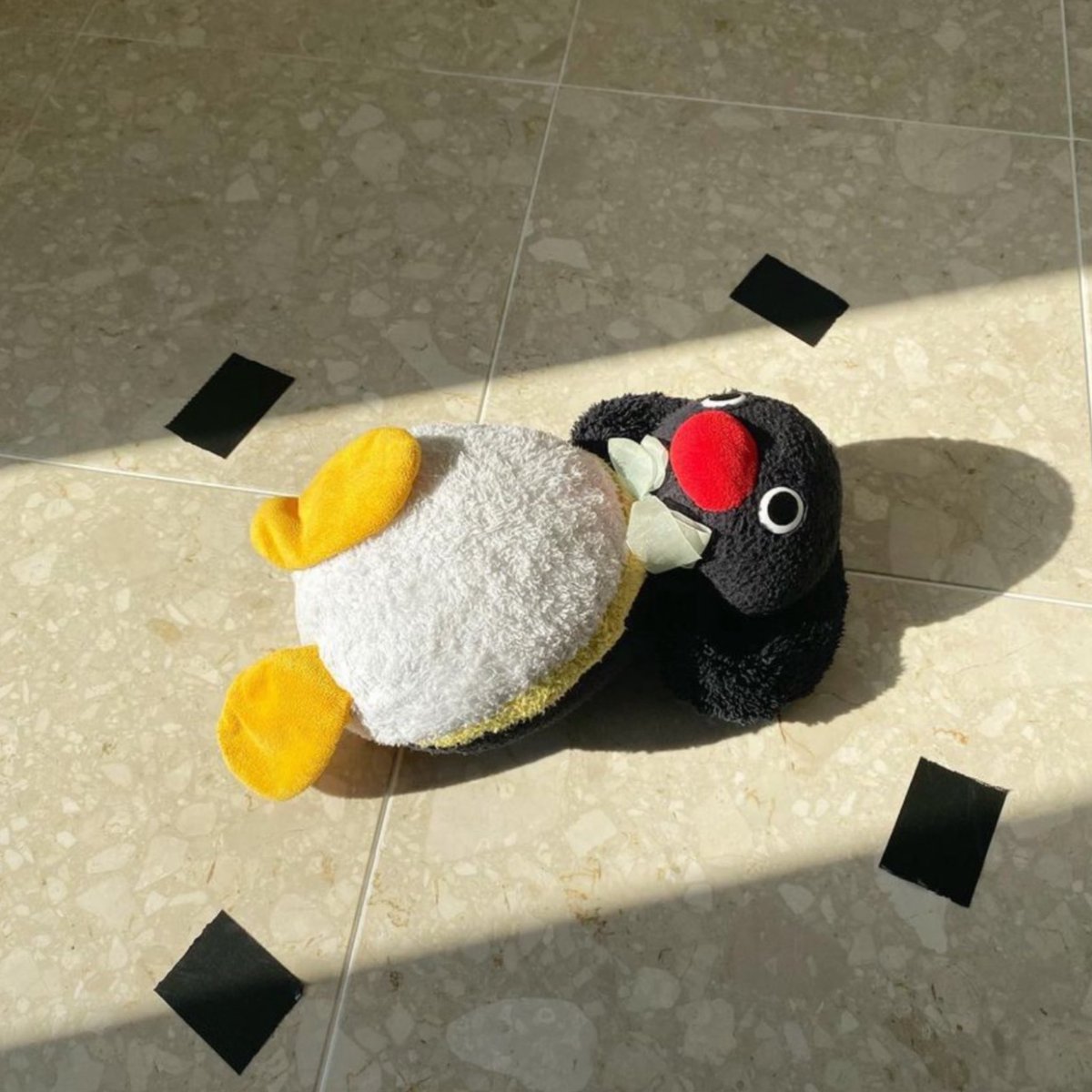 pingmyping's tweet photo. 🐧☀️ https://t.co/6i4dbJrL8Z