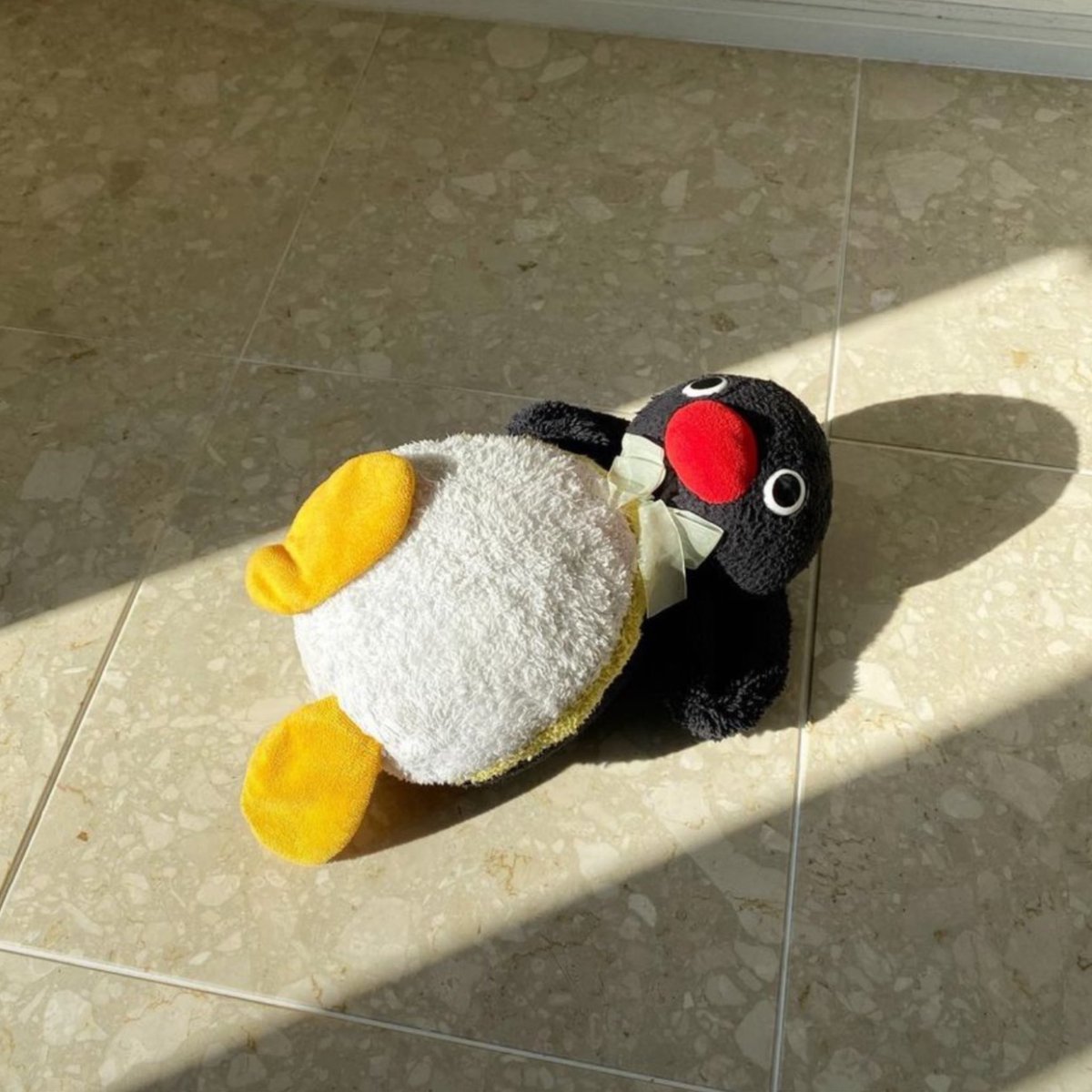pingmyping's tweet photo. 🐧☀️ https://t.co/6i4dbJrL8Z