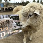 Photo by 飯田市立動物園 【公式】 (@iidazoo)